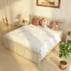PRITI Solid Wood Queen Size Bed - Milky White