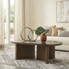 PRITI Solid Wood Coffee Table for Living Room