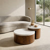 PRITI Mango Wood Coffee Table Set of 2 with  Banswara Marble