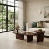 PRITI Solid Wood Coffee Table In Walnut Finish