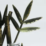 Bambu T-light Table Decor - Image 3