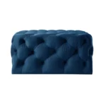Lester Modern Navy Solid Velvet Poufs With Amazing Design - Image 3